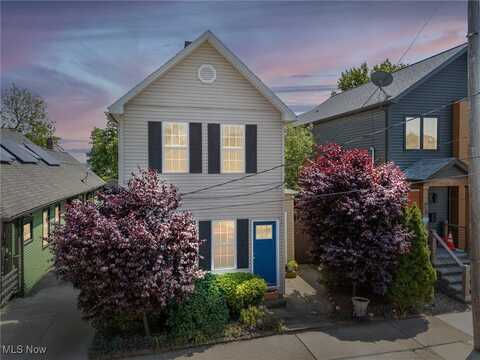 915 Fruit Avenue, Cleveland, OH 44113