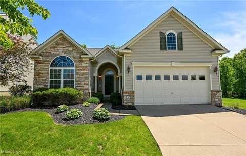 9339 Sasha Court, Twinsburg, OH 44087