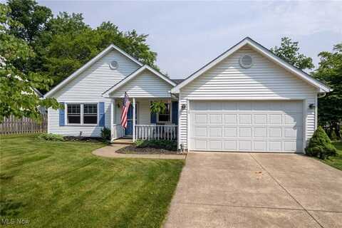 377 Arbor Court, Medina, OH 44256