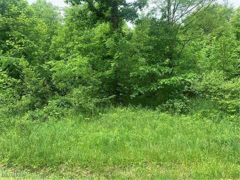 Pinney Topper Road, Plymouth, OH 44004