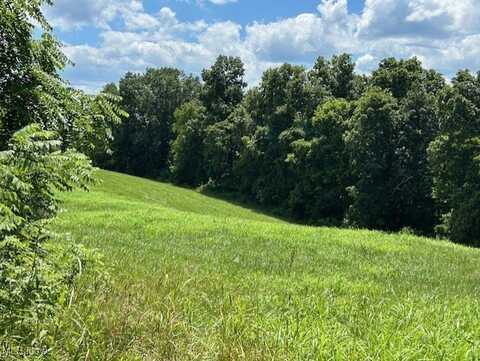 Wood Lane, Chesterhill, OH 43728