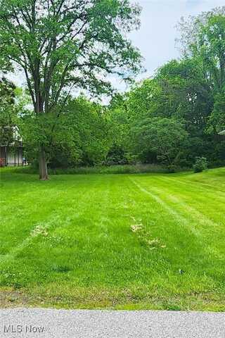 Walnut Street, Wintersville, OH 43953
