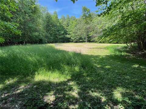 Monroe Center Road, Conneaut, OH 44030