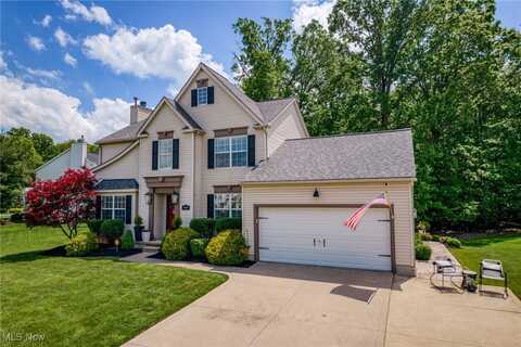 5609 Trystin Tree Drive, Medina, OH 44256