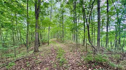 Noble Hill Rd, Pleasant City, OH 43772