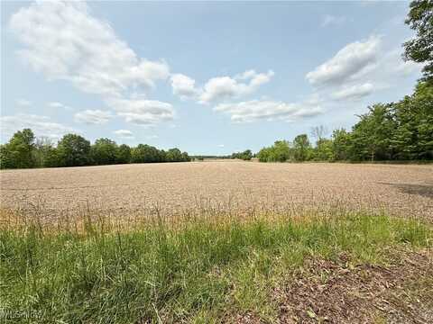 Snode Street NE, Alliance, OH 44601