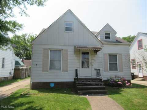 11901 Wayland Avenue, Cleveland, OH 44111