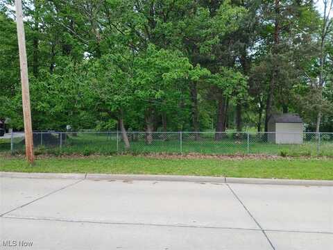 Marion Avenue, Mogadore, OH 44260