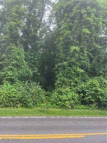 Mcmackin Road, Madison, OH 44057