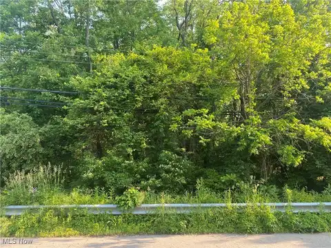 Morse Street, Akron, OH 44320
