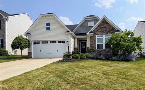 12136 White Tail Run, Columbia Station, OH 44028