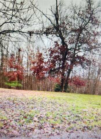 0 Okey Road, Chandlersville, OH 43727
