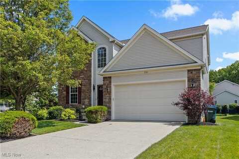 9381 Wheaton Court, Olmsted Twp, OH 44138