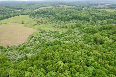 44312 Cream Ridge Road, Lisbon, OH 44432