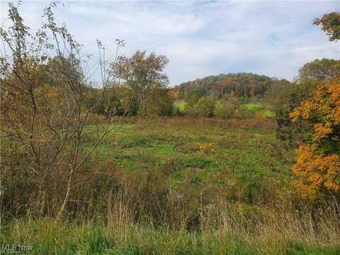 10925 Friendship Drive, New Concord, OH 43762