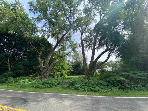 202 W Warner Road, Akron, OH 44319