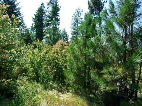 XX HOAG RD, VALLEY, WA 99181