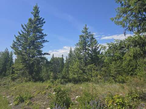 3715 HILL LOOP RD, KETTLE FALLS, WA 99141