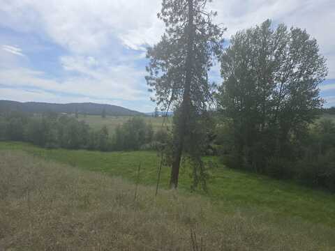 XXX BEAR RD, COLVILLE, WA 99114