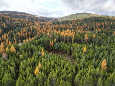 TBD SCHLEGEL RANCH LOT 11 RD, IONE, WA 99139