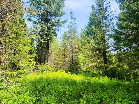 4711 X SPRINGDALE HUNTERS RD, SPRINGDALE, WA 99173