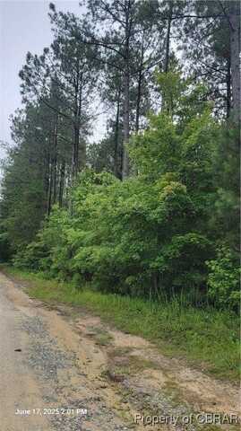0 Buchanan Lane, Gloucester, VA 23061