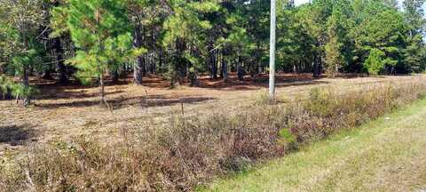 TBD Fowler Rd., Loris, SC 29569