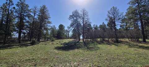 225 Badger Trail, Ridgway, CO 81432