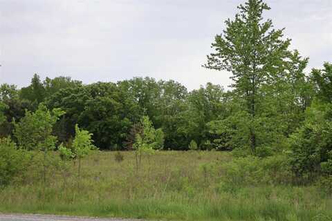 VL Beyer Road, Birch Run, MI 48415