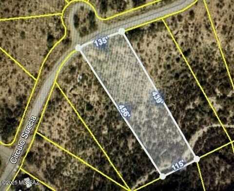 1772 Circulo Suecia, Rio Rico, AZ 85648