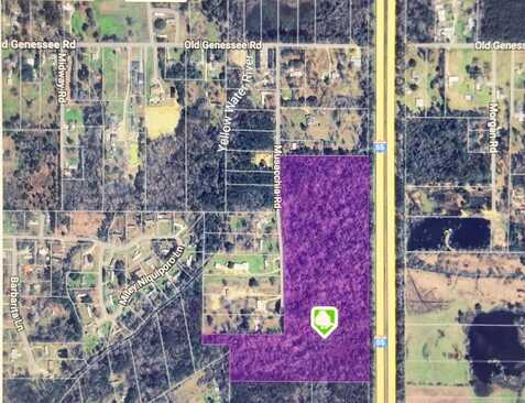 32.34 Acres Musacchia Road, Tickfaw, LA 70466