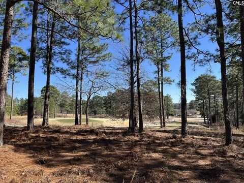 0 Bachman/Fishatchery, West Columbia, SC 29172