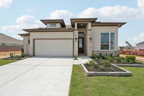26319 Prairie Delight Place, Hockley, TX 77447