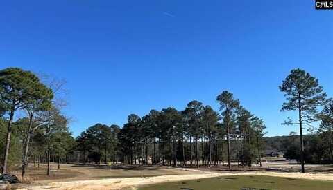 0 Long Iron, West Columbia, SC 29172
