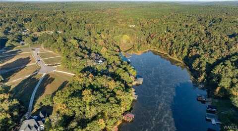 3 Rising Tide, Northport, AL 35475