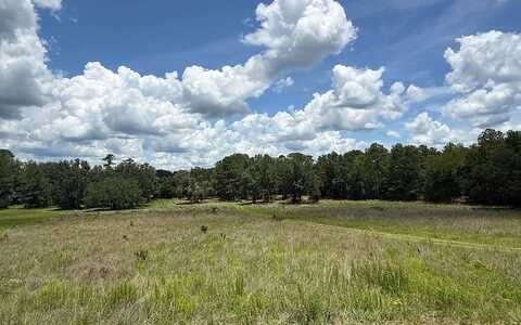 TBD NW LEVI GLEN, Lake City, FL 32055