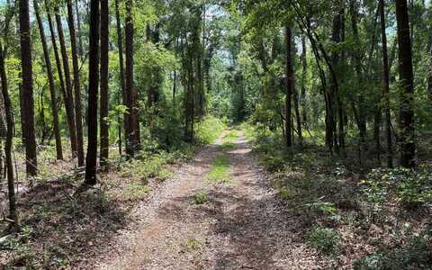LOT66 PEACOCK HIDEAWAY, Live Oak, FL 32060