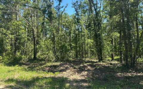 TBD NW 29TH BOULEVARD, Jennings, FL 32053