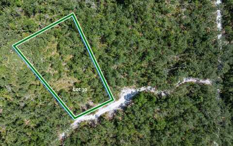 TBD HICKORY LN, LOT 30, Live Oak, FL 32060