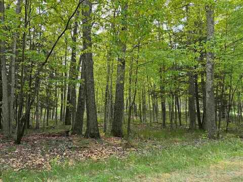 5945 Lodgepole, Harbor Springs, MI 49740