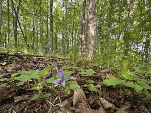 TBD Erie, East Jordan, MI 49727