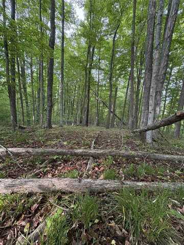 TBD Erie, East Jordan, MI 49727