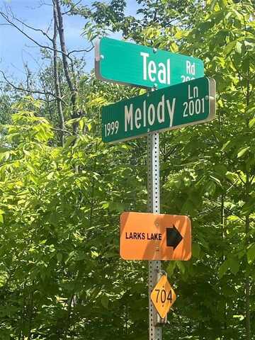 TBD TEAL, Pellston, MI 49769