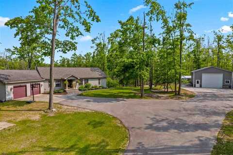 3300 Tree Tops, Vanderbilt, MI 49795