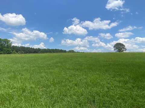 2100 Buckhorn Creek Drive, Crockett, TX 75835