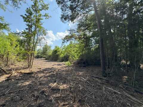 TBD County Road 4855, Timpson, TX 75975