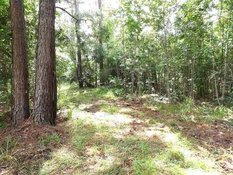 TBD FSR 536, Kennard, TX 75847