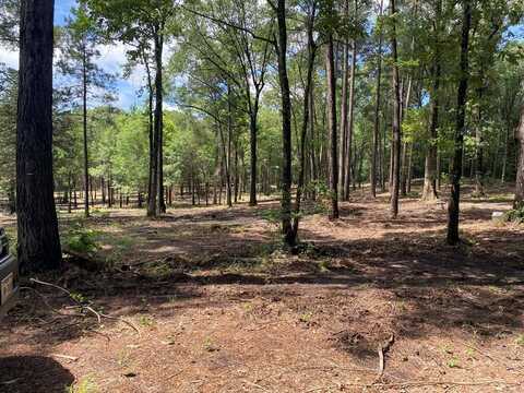 2123 CR 3853, Joaquin, TX 75954