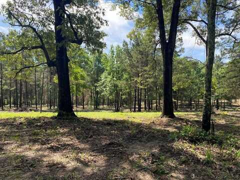 TBA-A CR 3853, Joaquin, TX 75954