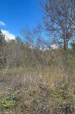 TBD CASEY ROAD, Lufkin, TX 75901
